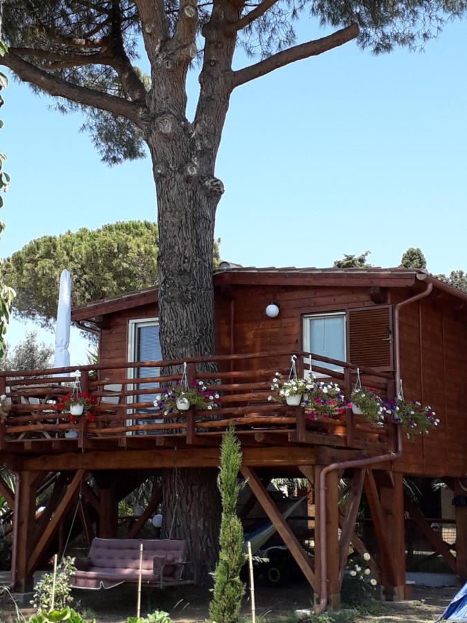 Il Vivaio Villa Tarquinia Kültér fotó