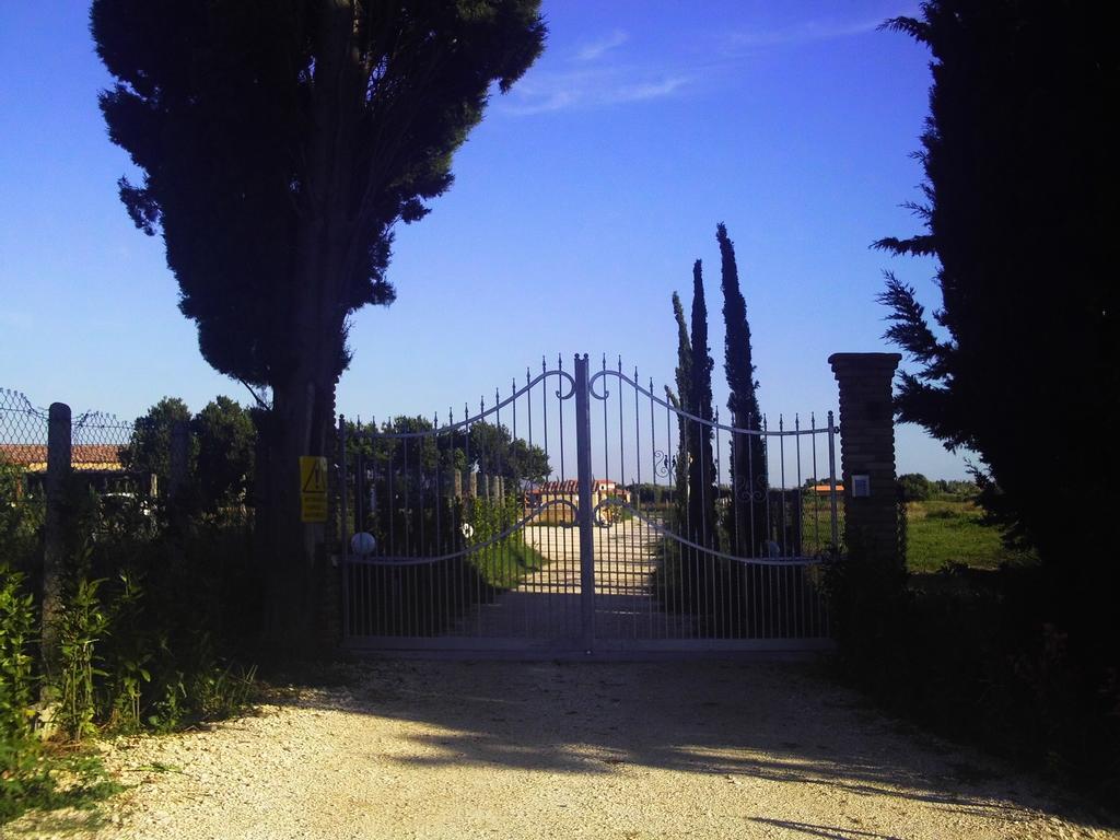Il Vivaio Villa Tarquinia Szoba fotó